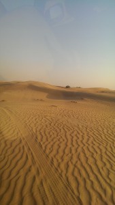 Dubai - Desert Safari